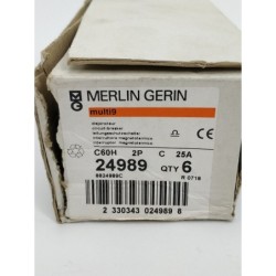 Merlin Gerin C60H 2P C 25A