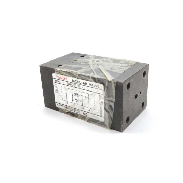 NACHI-FUJIKOSHI OW-G01-W1-R-D2-30