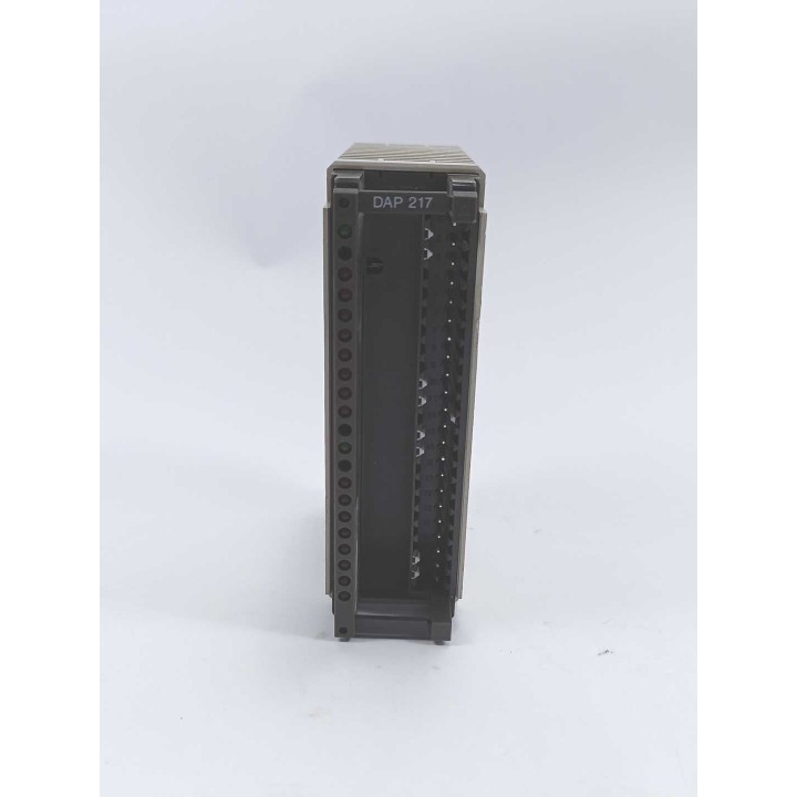  DAP 217