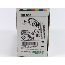 Schneider Electric ZB4BG8