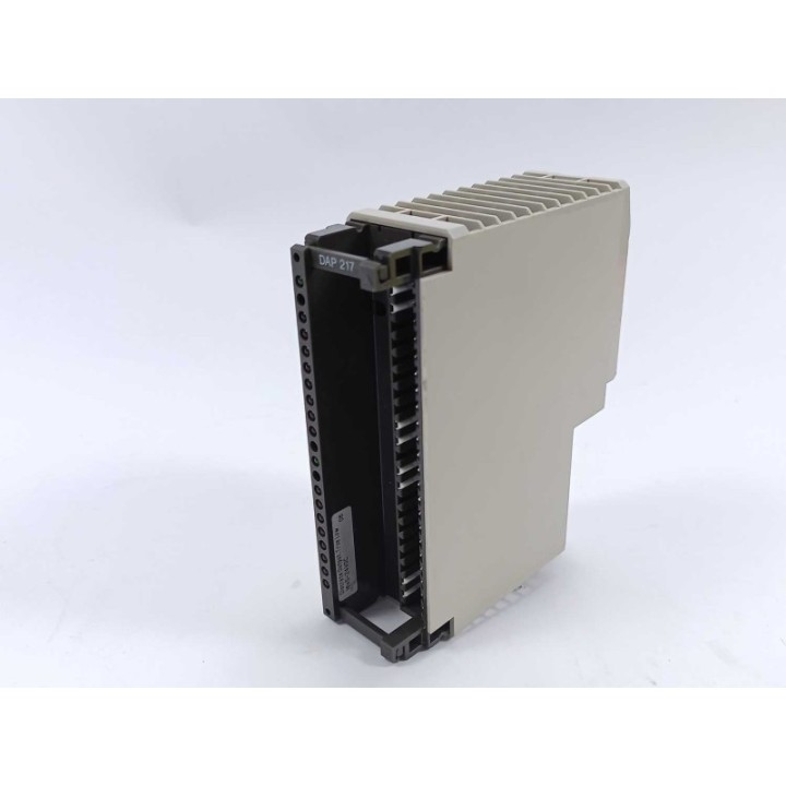 AEG DAP 217 AEG DAP 217