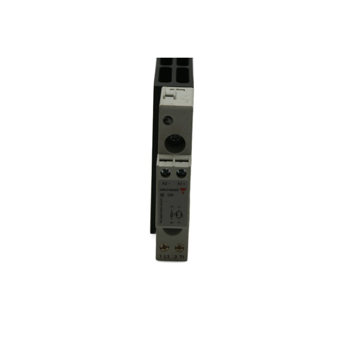 CARLO GAVAZZI CARLO GAVAZZI RQC1A60D30KGUS278