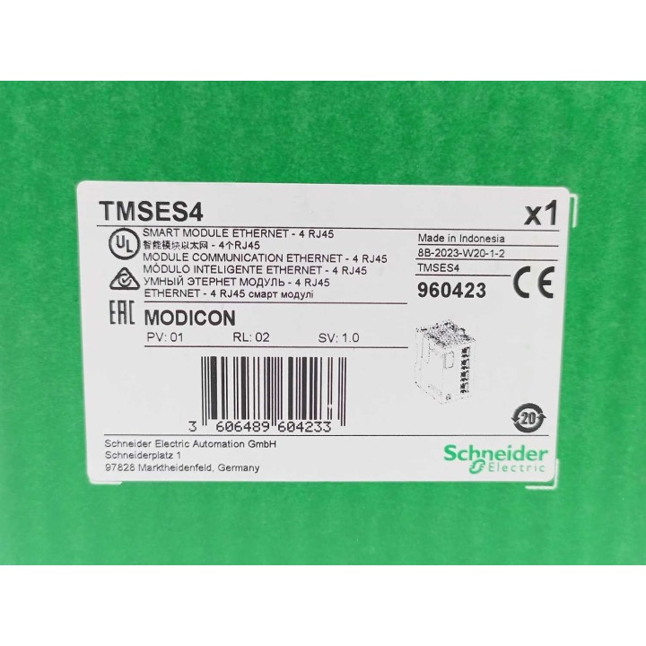  TMSES4