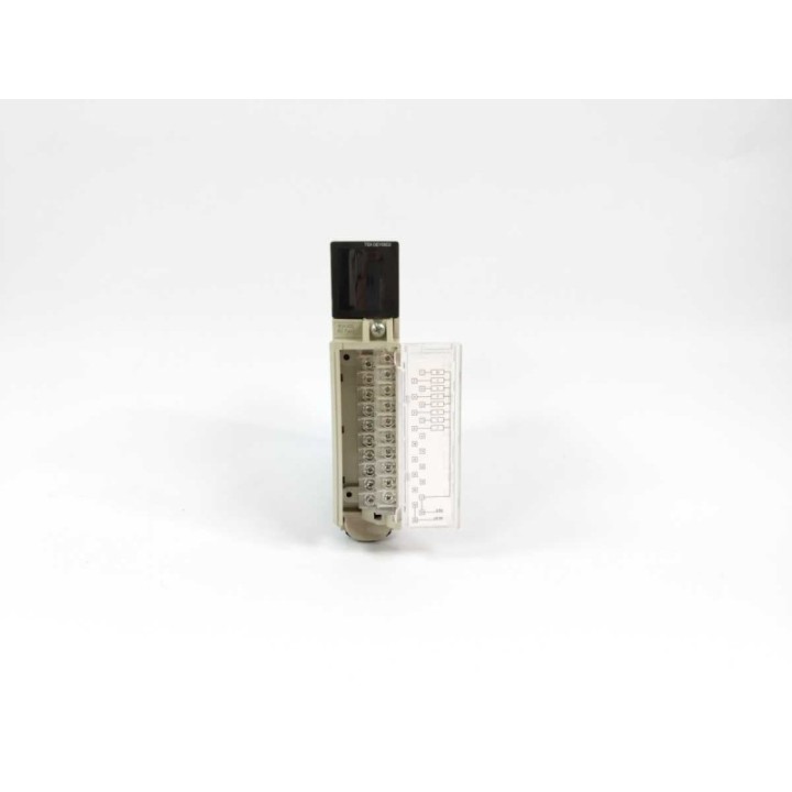 Schneider Electric TSXDEY08D2