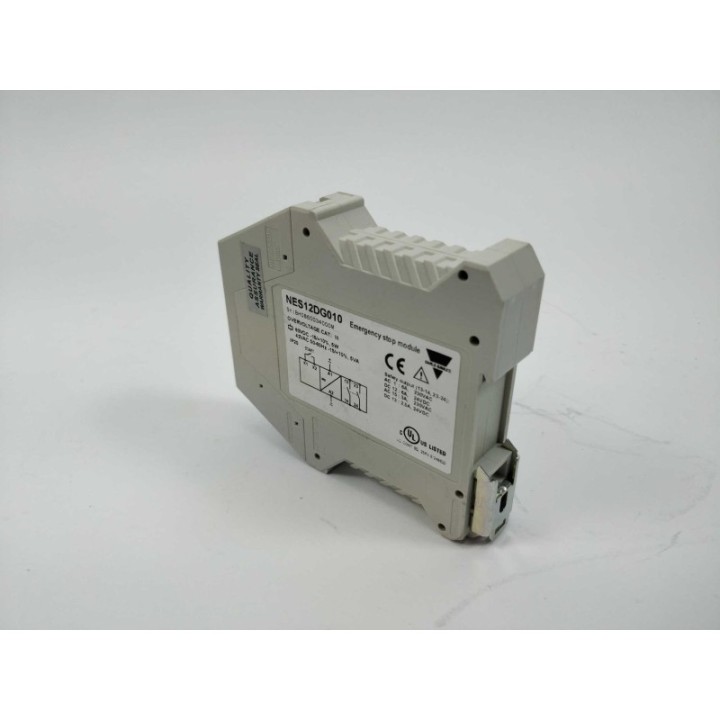  NES12DG010