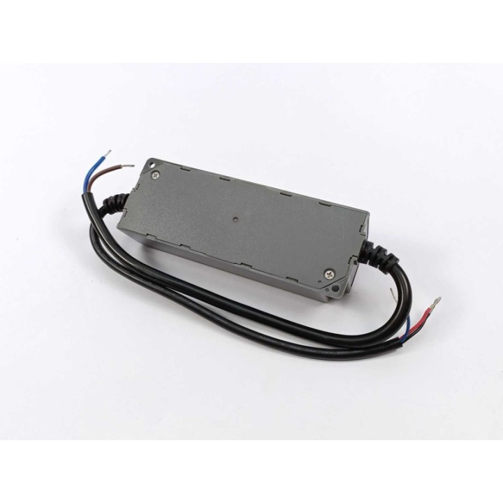 Mean Well NPF-40D-12