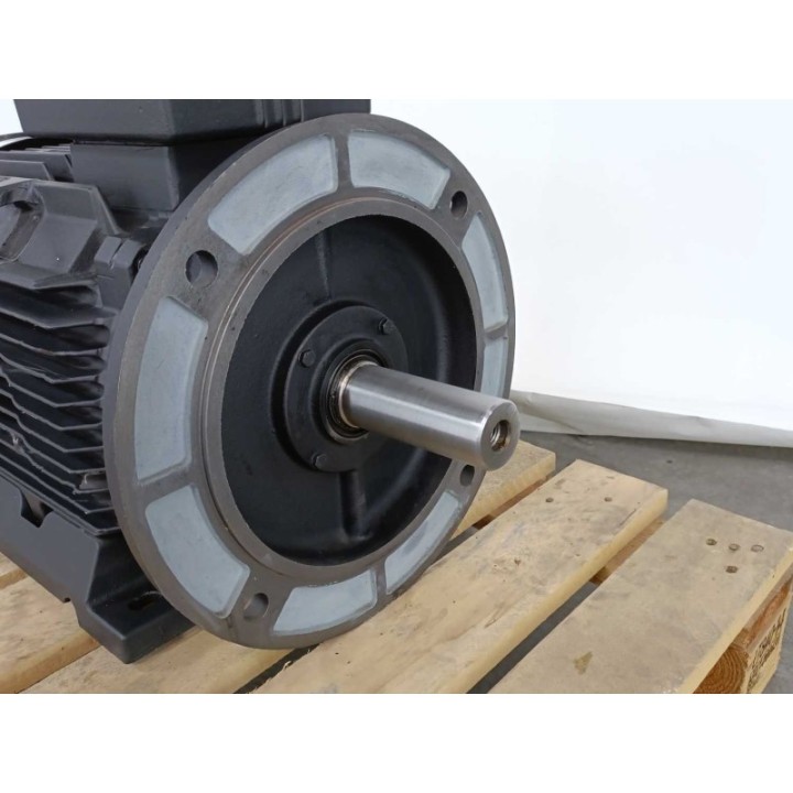 GRUNDFOS MMG160LA 4 42 FF300 H1