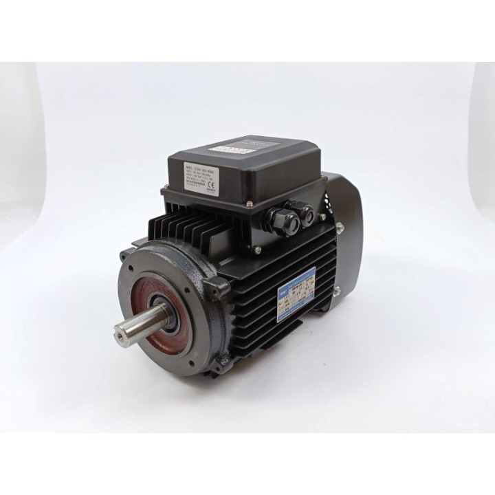 WanNan Electric Machine YZNP2-90L-4 B14