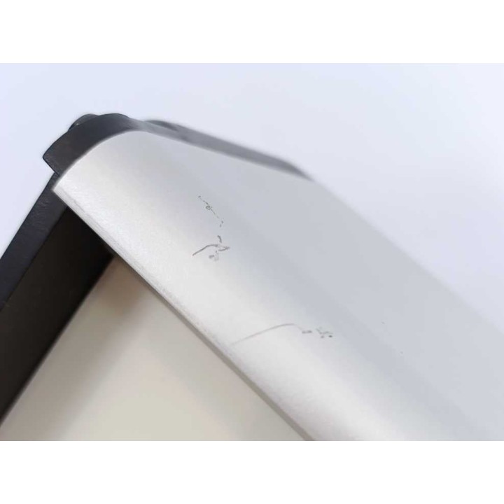 MICATRONE MG-1000D
