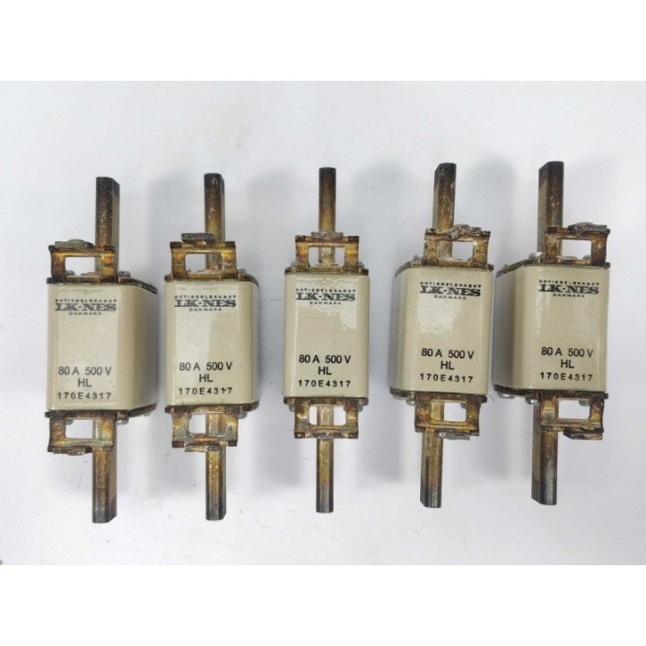 LK/Bussmann 170E4317