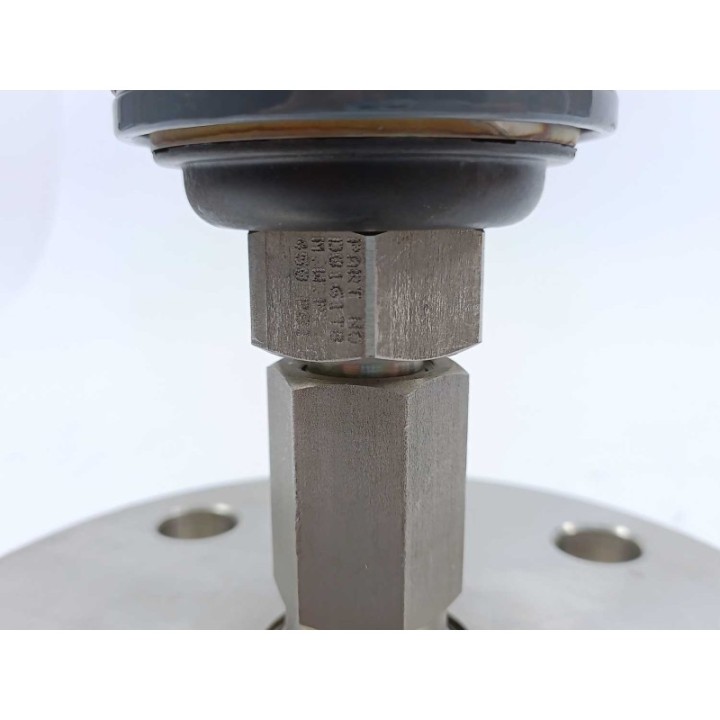 Foxboro IGP10-D22D1E-GHL1