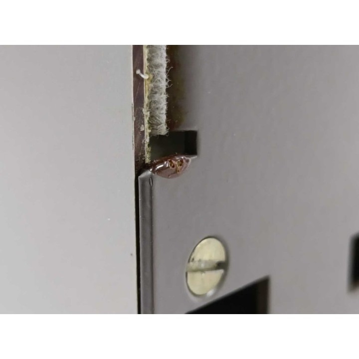 Siemens 6RA2625-6DV55