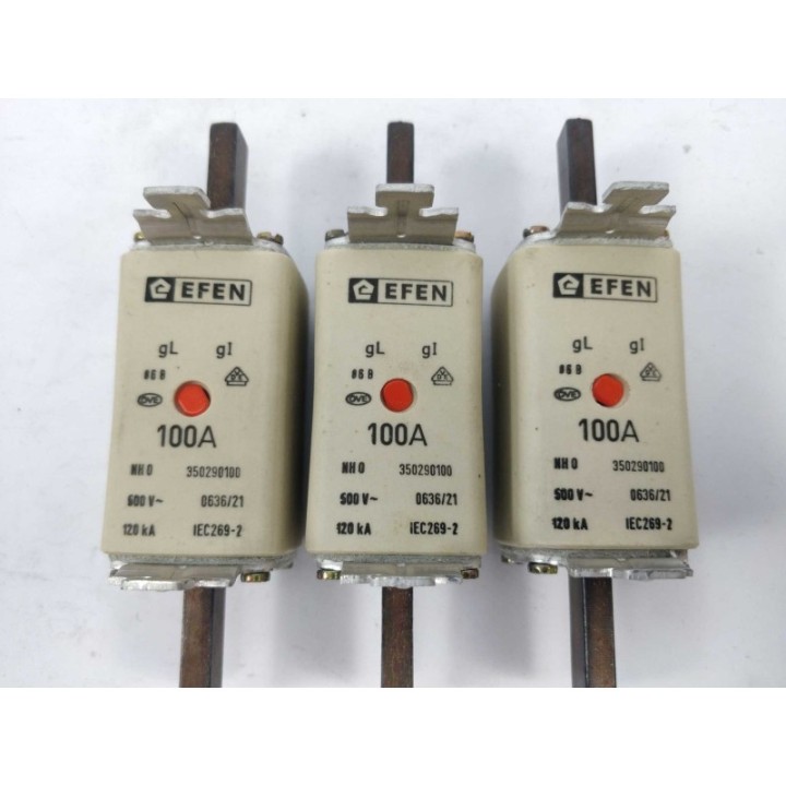 Efen 350290100