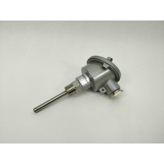 ETROA/S Pt. 100 / B 81-31-111