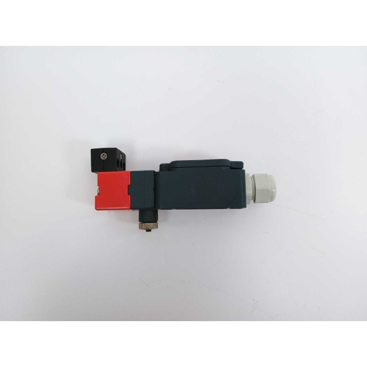 Leuze Electronic L10-P2C1-M20-SB20