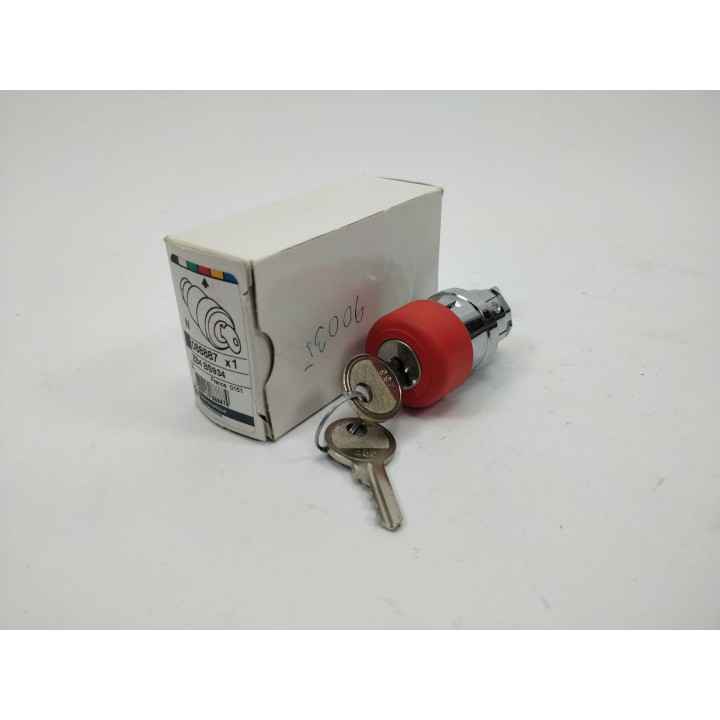 Telemecanique ZB4BS934