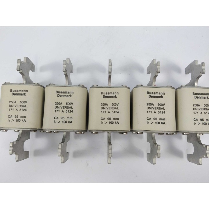 Bussmann 171A5124