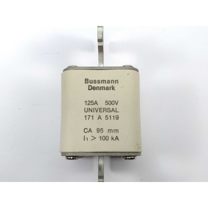 Bussmann 171A5119