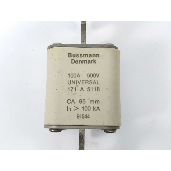 Bussmann 171A5118