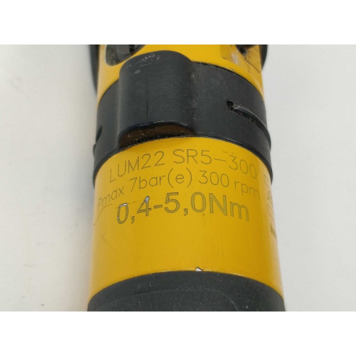 Wellgo LUM 22 SR5-300