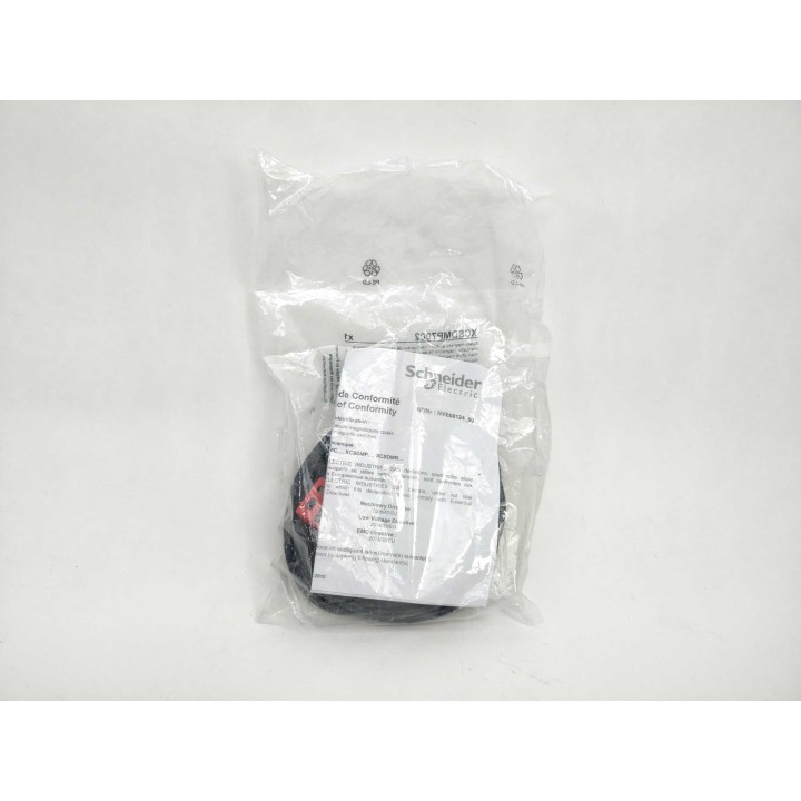 Schneider Electric (Telemecanique) XCSDMP7002