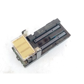 FANUC Seria VersaMax IC200CHS022G