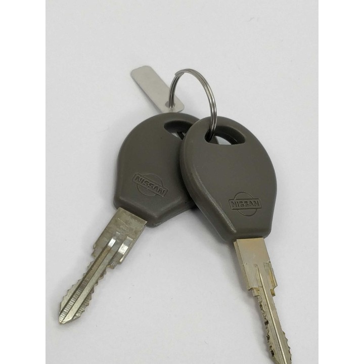 Nissan Motor Co., Ltd H0600-01G00