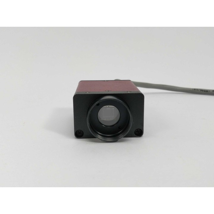 Allied Vision Technologies GmbH Stingray F046B ASG