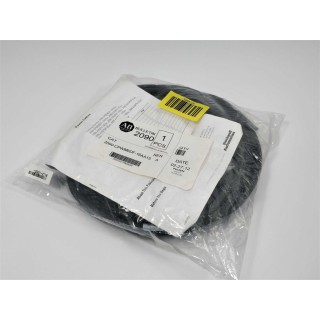 Rockwell Automation 2090-CPWM6DF-16AA15