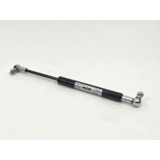 ACE GS-19-100-CC-350N