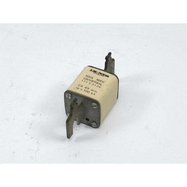 Bussmann 171A5126