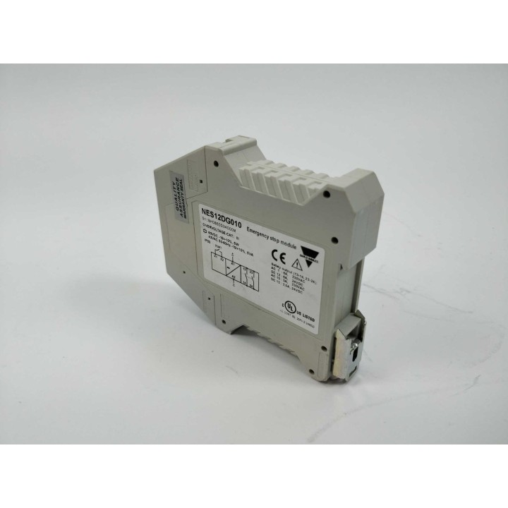 NES12DG010