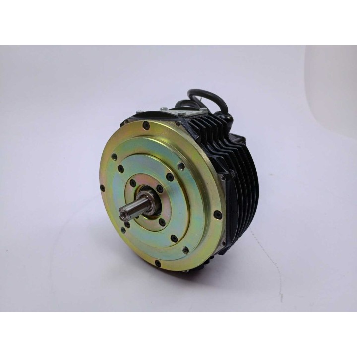 MAVILOR MOTORS MS060.000.0G01.00