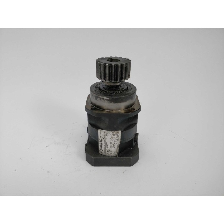 Vogel 289704