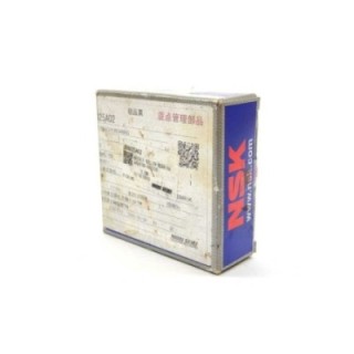 NSK Bearings S06025A02