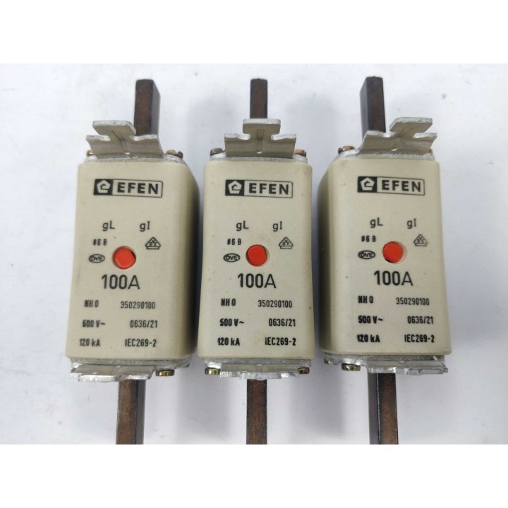 Efen 350290100