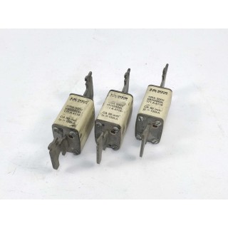 LK Bussmann 171A4119