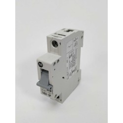 ALLEN-BRADLEY 1492-SP1C100